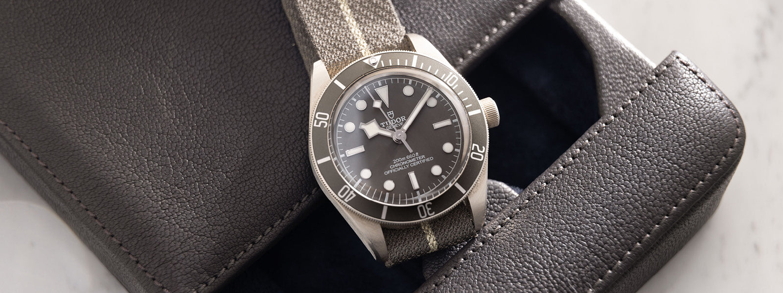 Tudor Black Bay 58 925 Silver